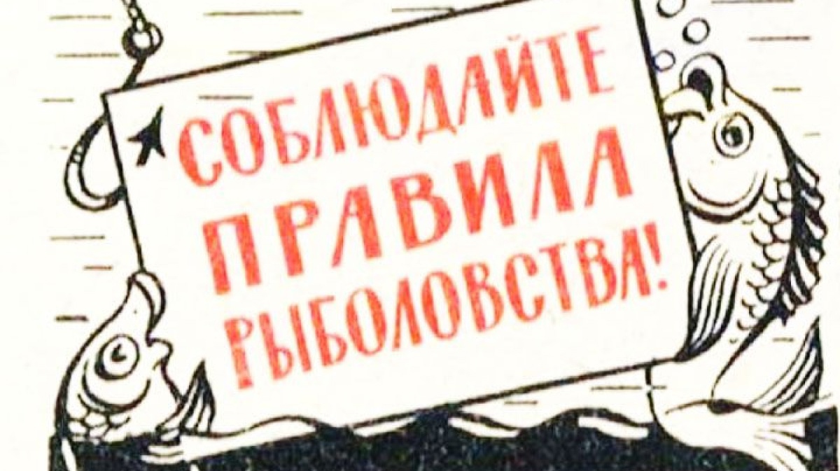 Любительское рыболовство в Обь-Иртышском рыбохозяйственном районе. Общие ограничения.